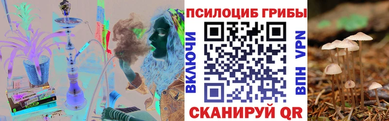Галлюциногенные грибы Psilocybe  Барнаул 